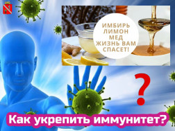 Методы, способствующие повышению и укреплению иммунитета
